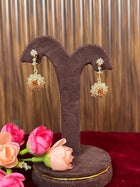 Fancy Earring
