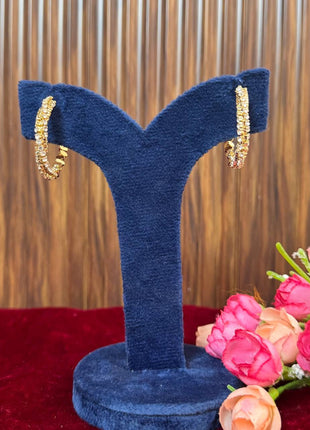 Fancy Earring