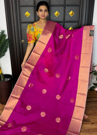 Premium Kanchi