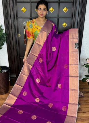 Premium Kanchi
