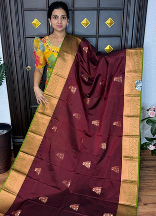 Premium Kanchi