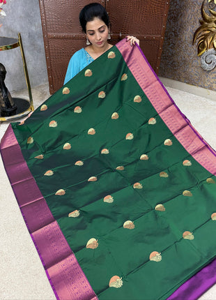 Kanchi Silk