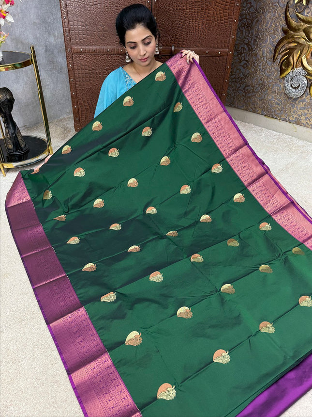 Kanchi Silk