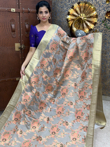 Chiffon Banarasi