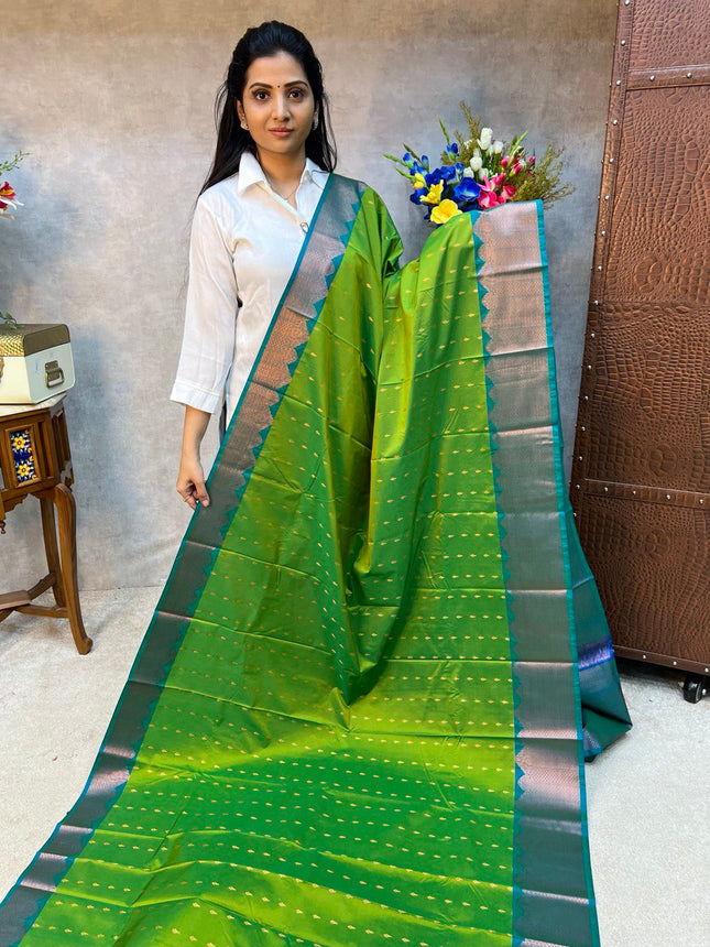 Kanchi Silk