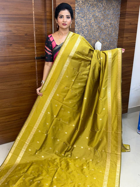 Kanchi Silk