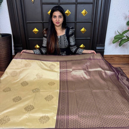 Kanchi Silk