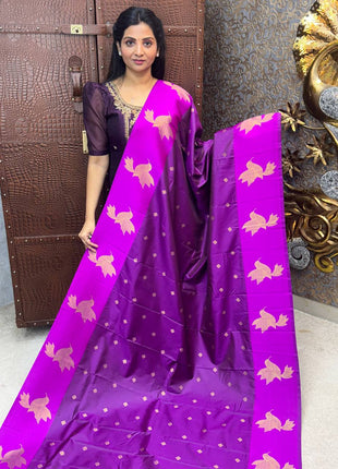 Mulberry Saree