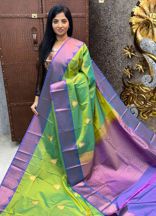Premium Kanchi