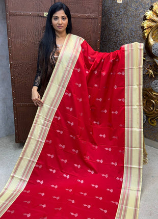 Kanchi Silk Retta Patta