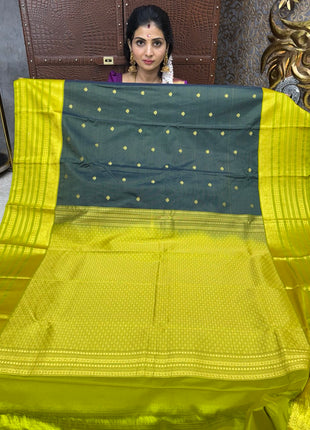 Vaira Oosi Gold Zari