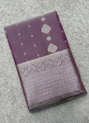 Kanchi Silk Silver Zari