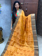 Semi kanchipuram Silk