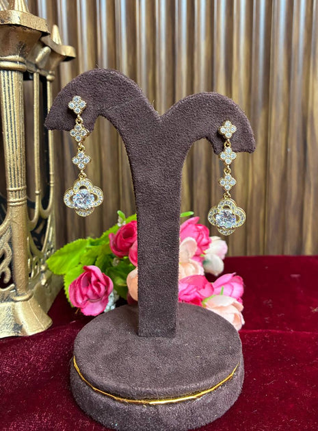 Fancy Earring