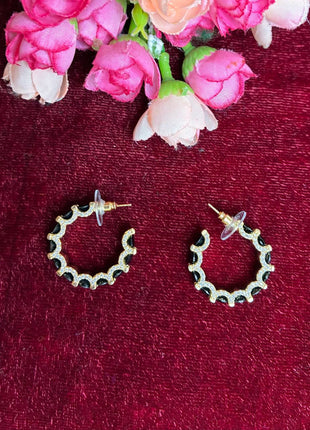 Fancy Earring