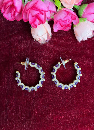 Fancy Earring