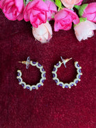 Fancy Earring