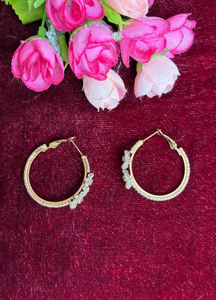 Fancy Earring