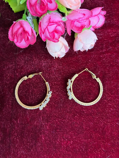 Fancy Earring