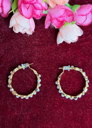 Fancy Earring