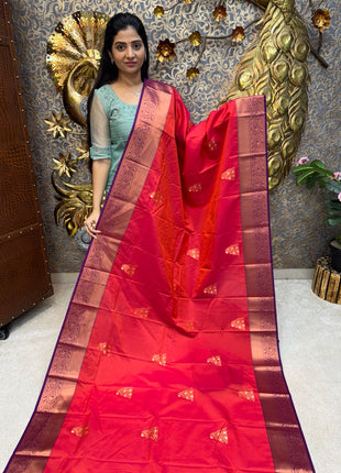 Premium Kanchi