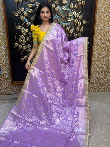 Pure Banarasi Soft Silk