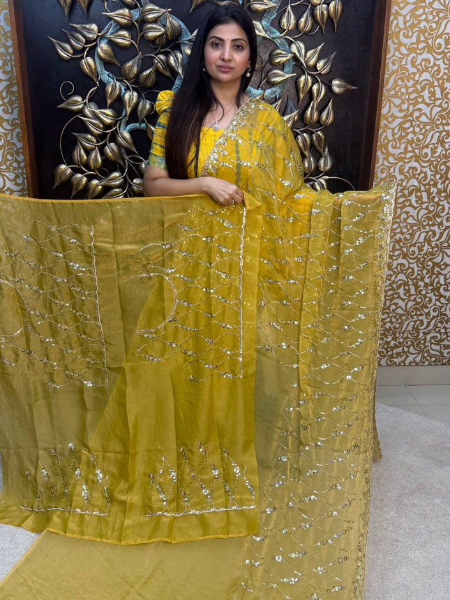 Fendi Designer  Saree