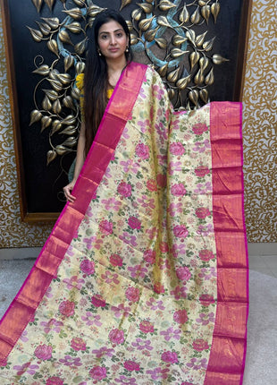 Dharmavaram Silk