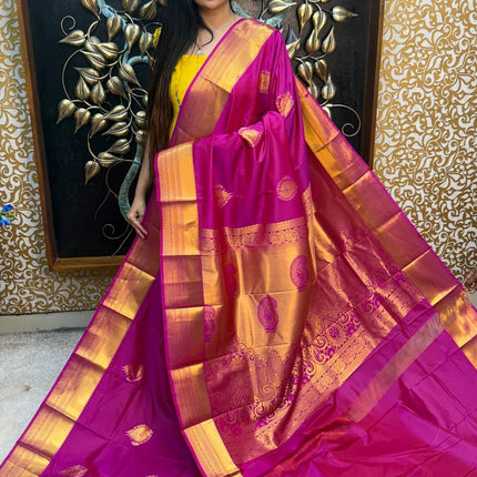 Kanchi Silk Gold Zari