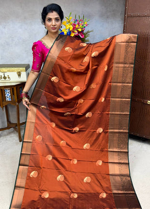 Premium Kanchi