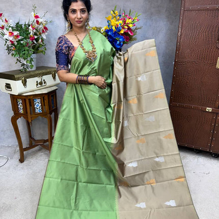 Kanchi Silk