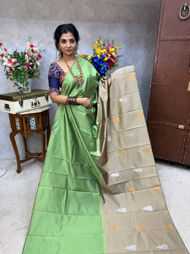 Kanchi Silk