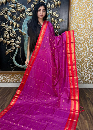 Kanchi Soft Silk
