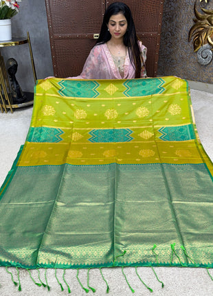Kanchi Pochampally Silk