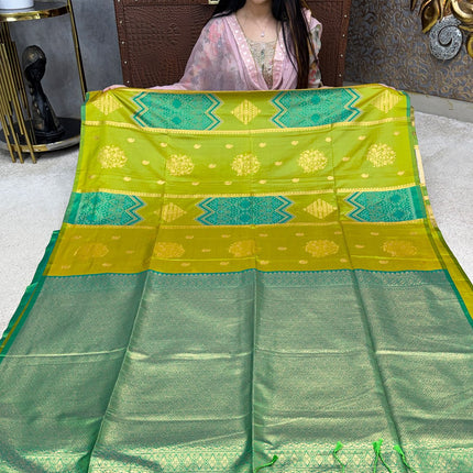 Kanchi Pochampally Silk