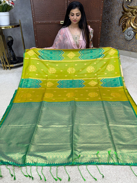 Kanchi Pochampally Silk