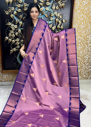 Premium Kanchi