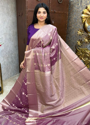 Kanchi Silk Silver Zari