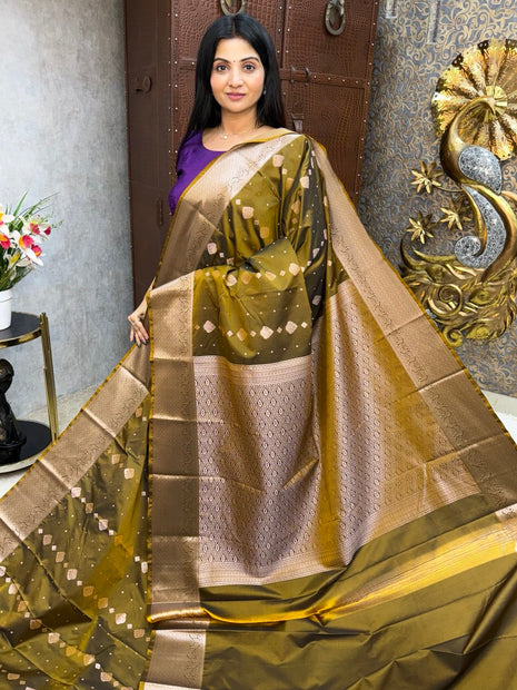 Kanchi Silk Silver Zari