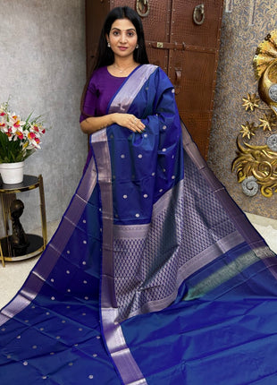 Kanchi Silk Silver Zari
