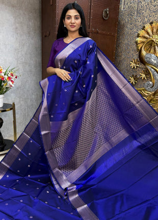 Kanchi Silk Silver Zari