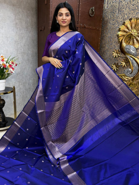 Kanchi Silk Silver Zari