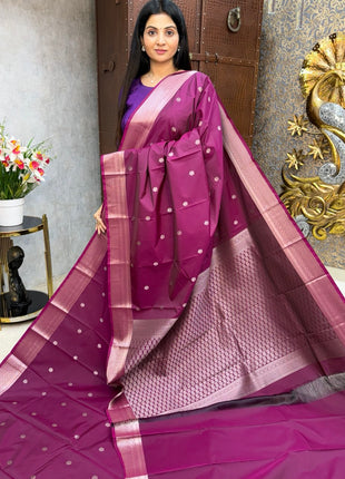 Kanchi Silk Silver Zari