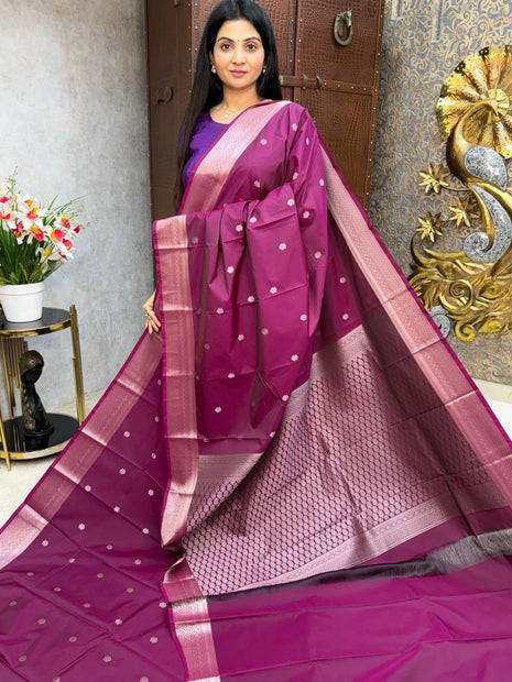 Kanchi Silk Silver Zari