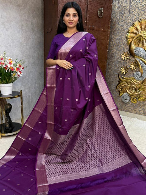 Kanchi Silk Silver Zari