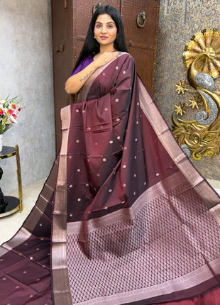 Kanchi Silk Silver Zari