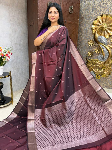 Kanchi Silk Silver Zari