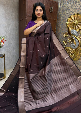 Kanchi Silk Silver Zari