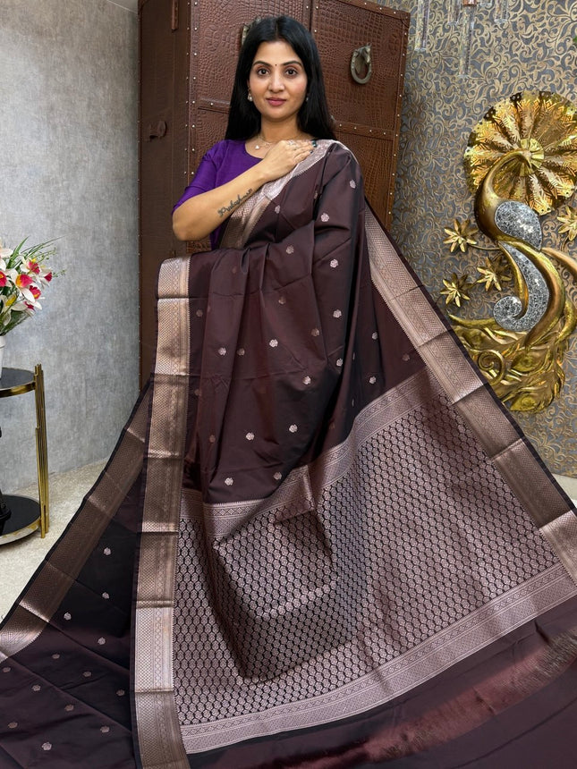 Kanchi Silk Silver Zari