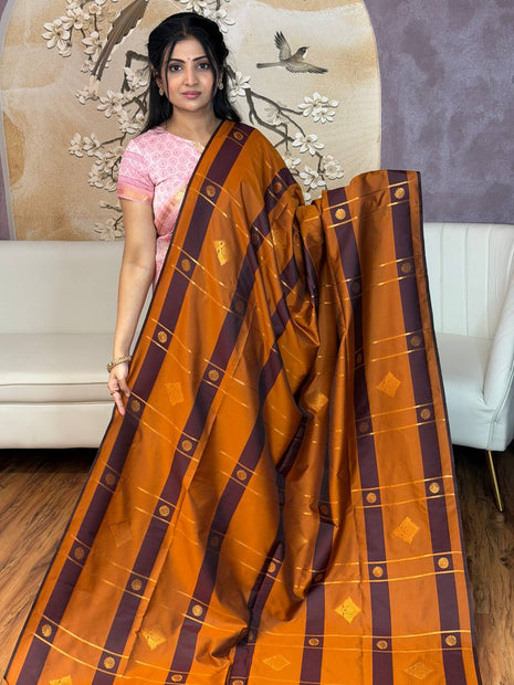 Border Less Kanchi Silk